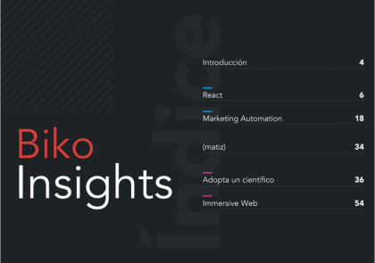 Biko Insights 1