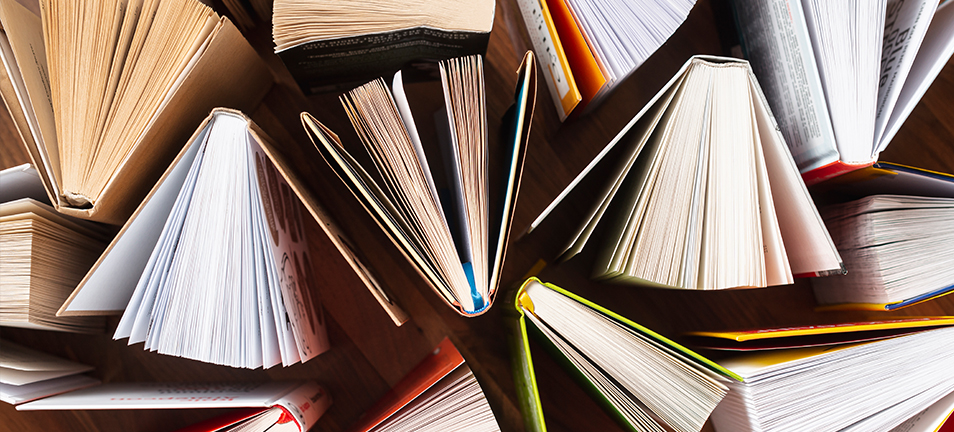 Literatura SM