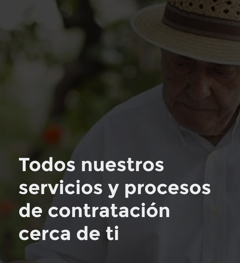 Imagen de la web de Natioanle Nederlanden